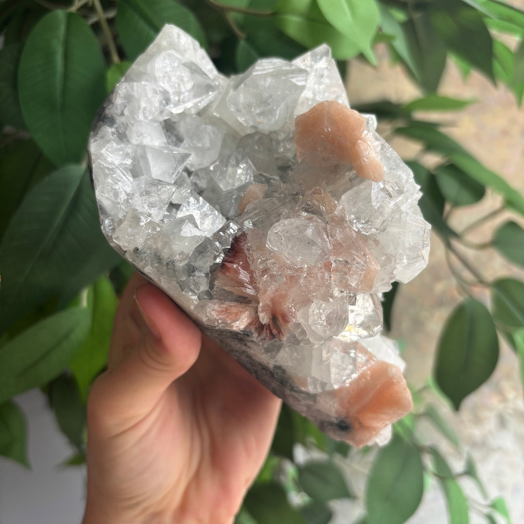 "AAA" Apophyllite Cluster APO4-11
