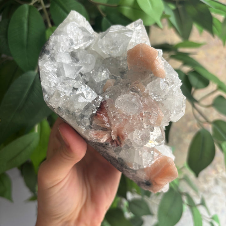 "AAA" Apophyllite Cluster APO4-11
