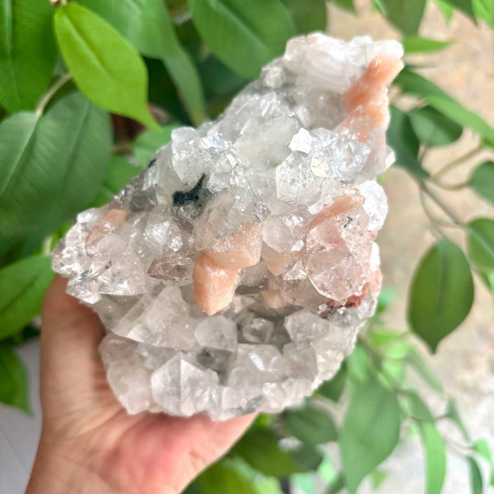 "AAA" Apophyllite Cluster APO4-11