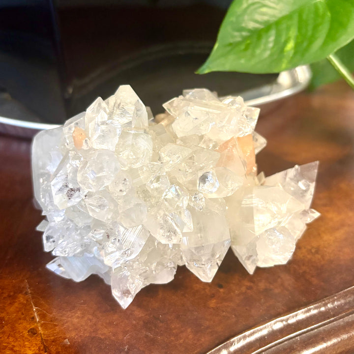 "AAA" Apophyllite Cluster APO4-15