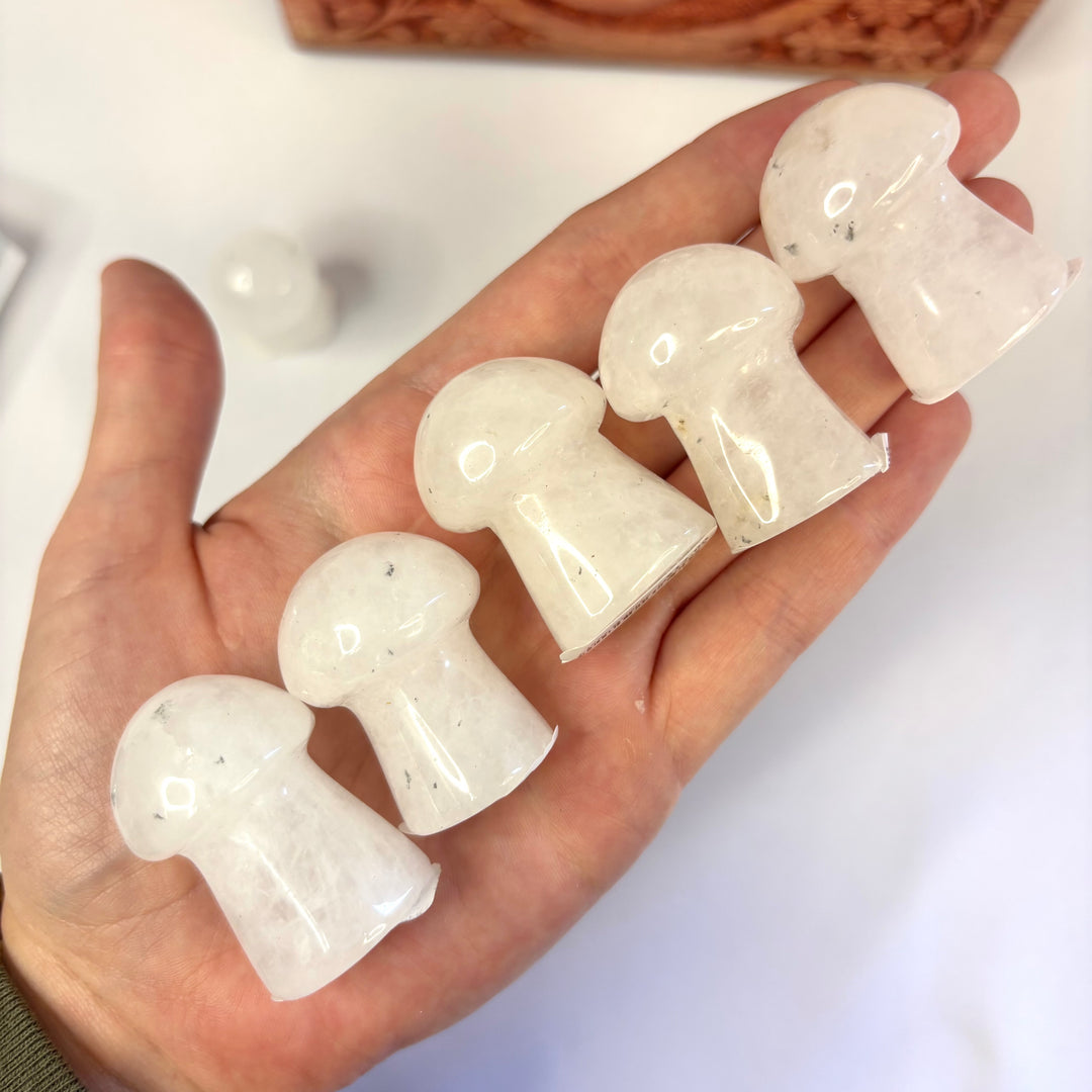 Clear Quartz Mushroom- MS25002