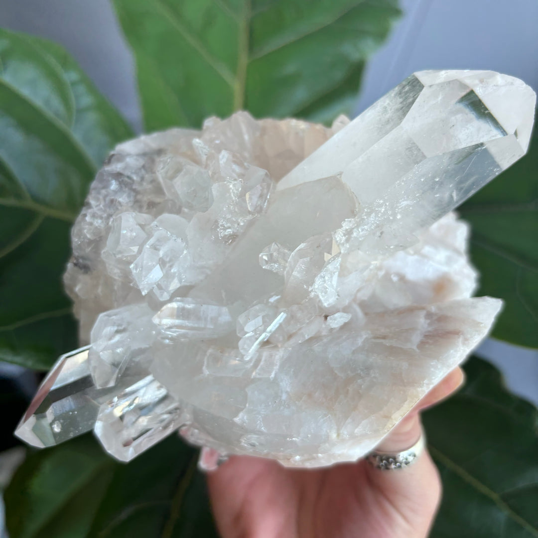 'AAA' Grade Lemurian Cluster LEM7-11