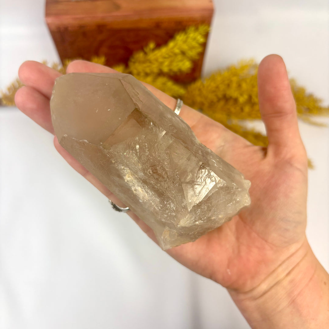 Smoky Lemurian Rough Point LEM1-14