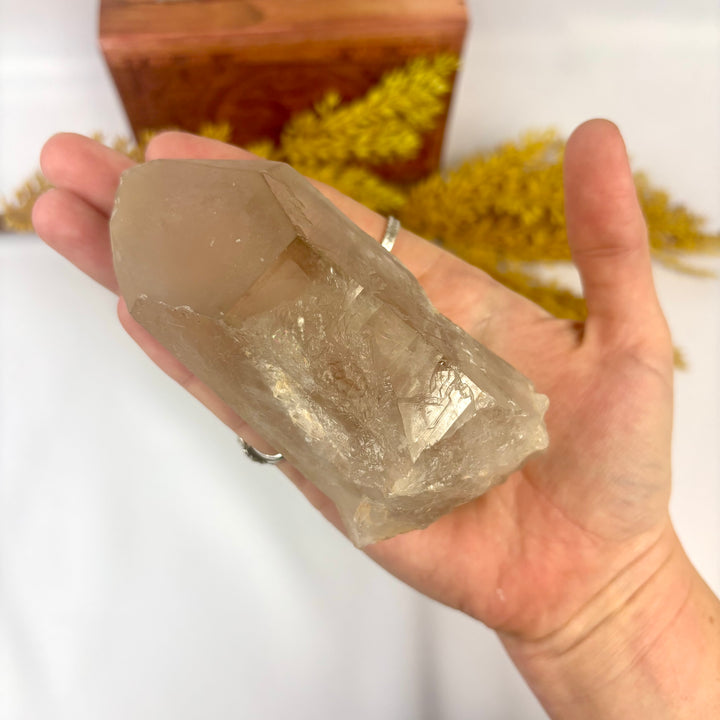Smoky Lemurian Rough Point LEM1-14