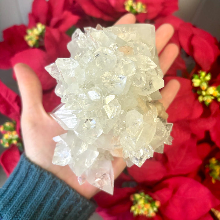 "AAA" Apophyllite Cluster APO4-15