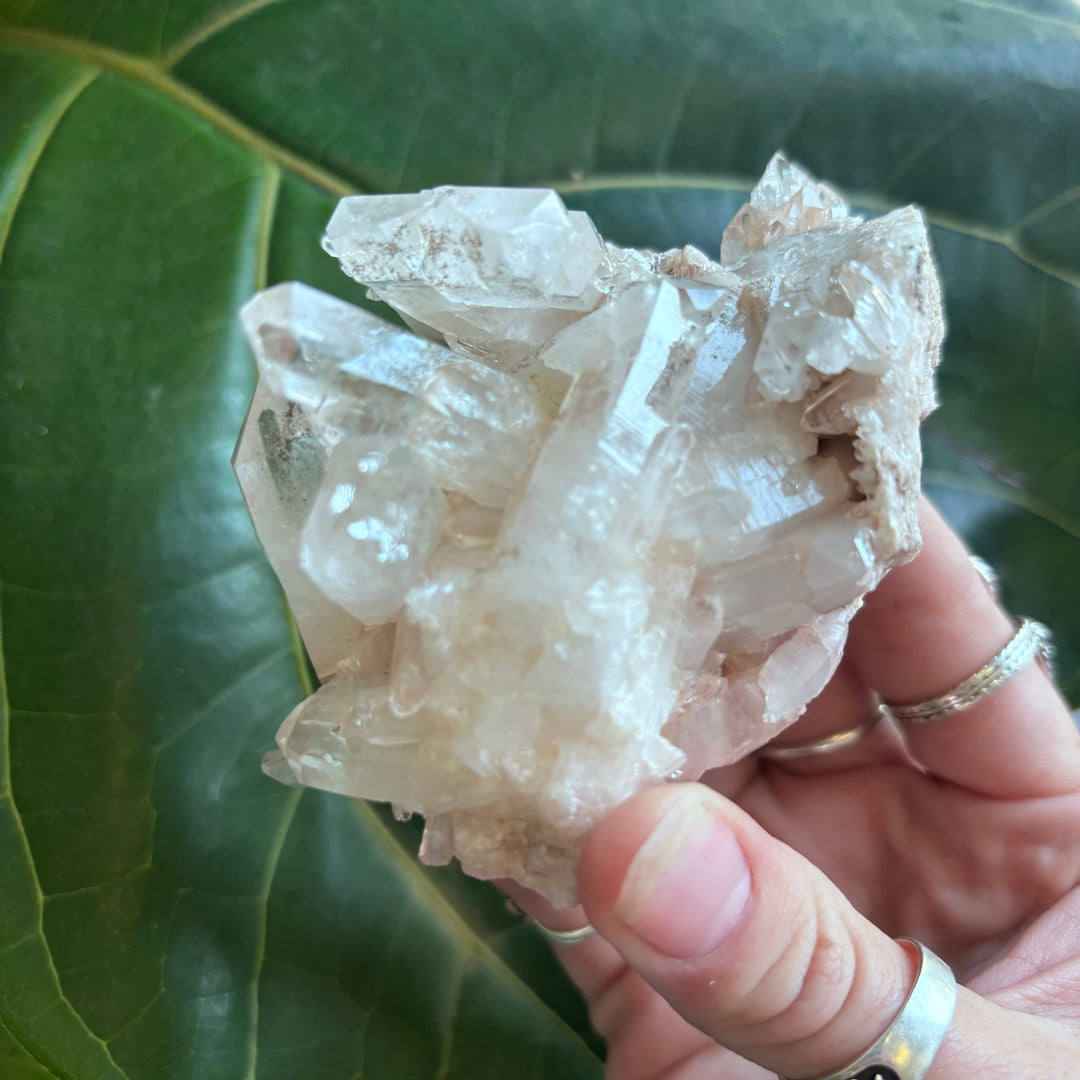 'AAA' Grade Lemurian Cluster LEM7-3