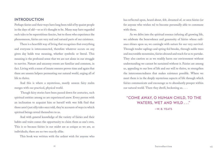 A Little Bit of Fairies by Elaine Clayton