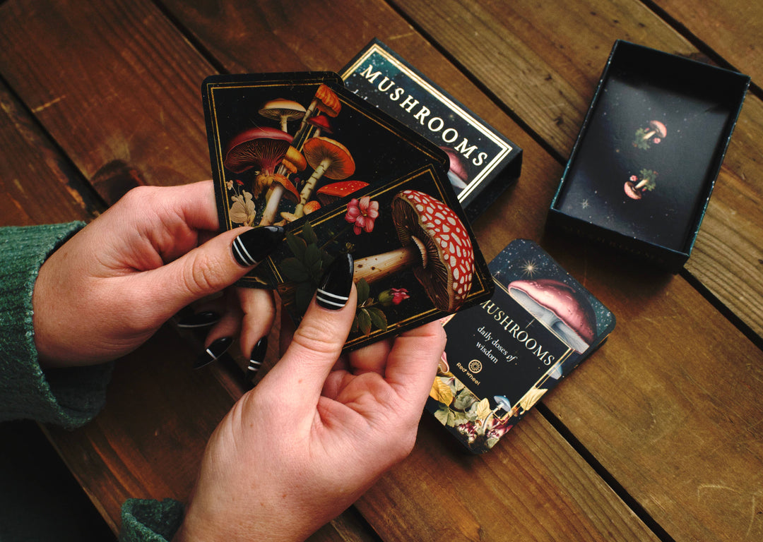 Mushrooms: Daily Doses of Wisdom (36 Gilt-Edged Mini Cards)