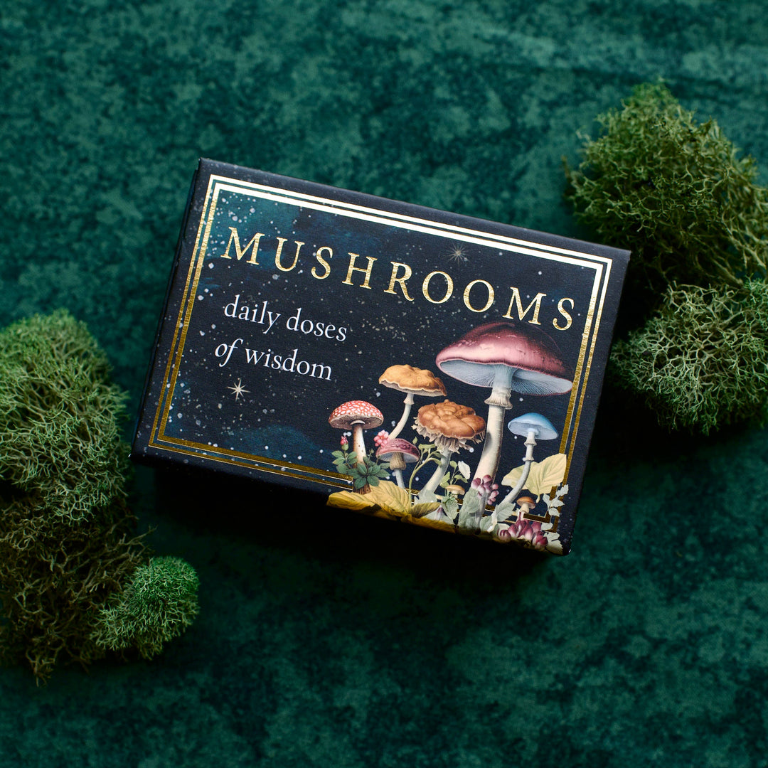 Mushrooms: Daily Doses of Wisdom (36 Gilt-Edged Mini Cards)