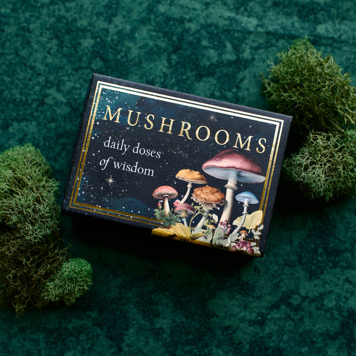 Mushrooms: Daily Doses of Wisdom (36 Gilt-Edged Mini Cards)