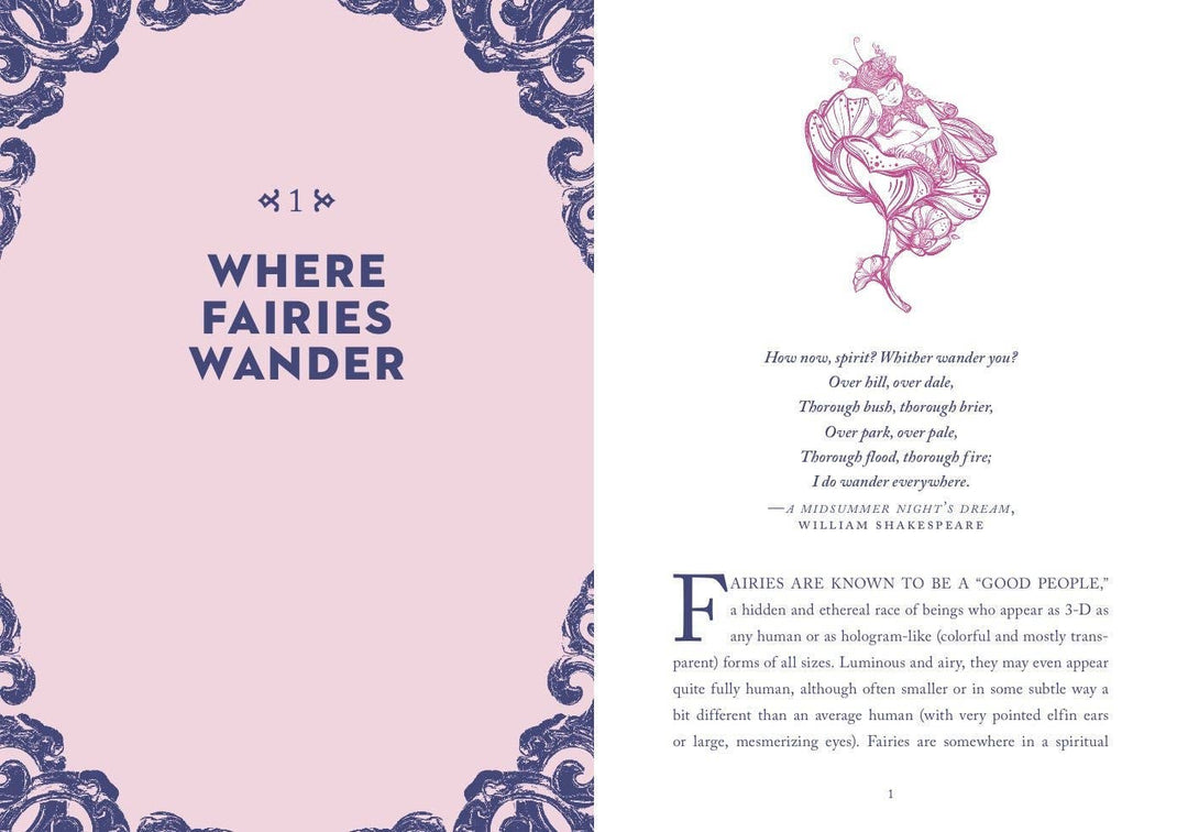 A Little Bit of Fairies by Elaine Clayton