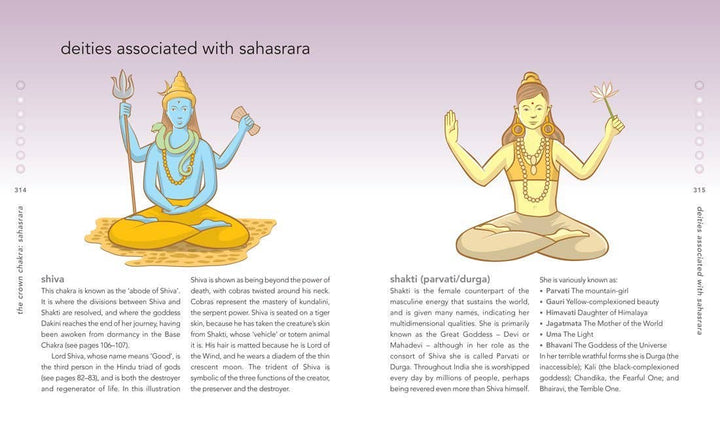 Chakra Bible by Patricia Mercier