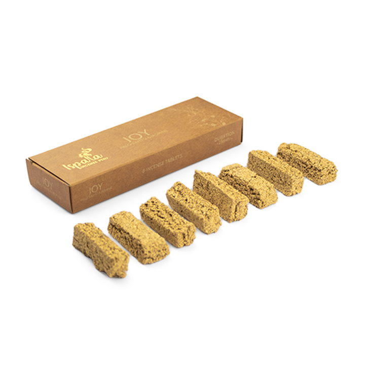 Joy - Incense Bricks