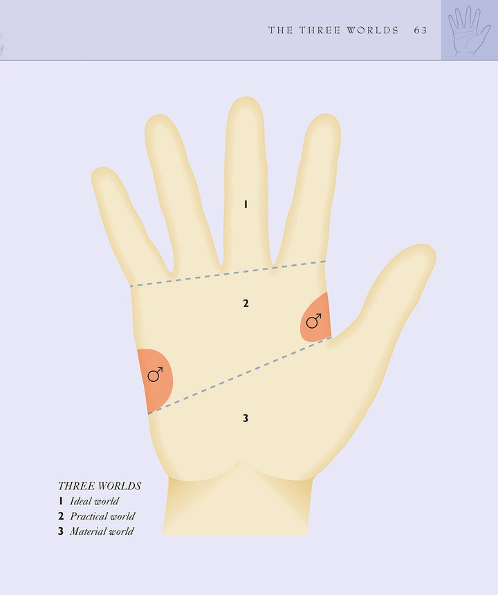 Palmistry Bible by Jane Struthers