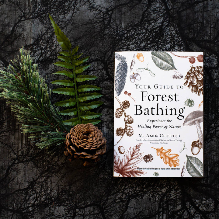 Your Guide to Forest Bathing: Expanded Edition