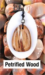 Petrified Wood w/cord