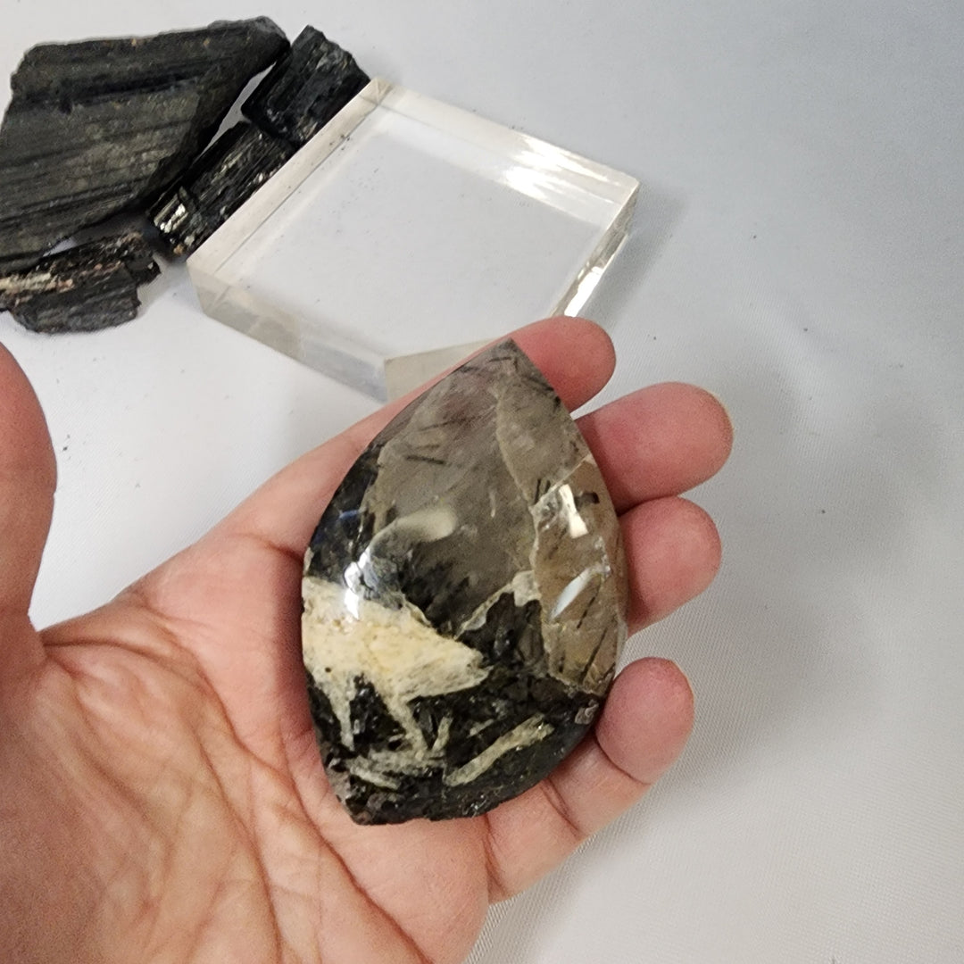 Black Tourmaline in Quartz-CR26034