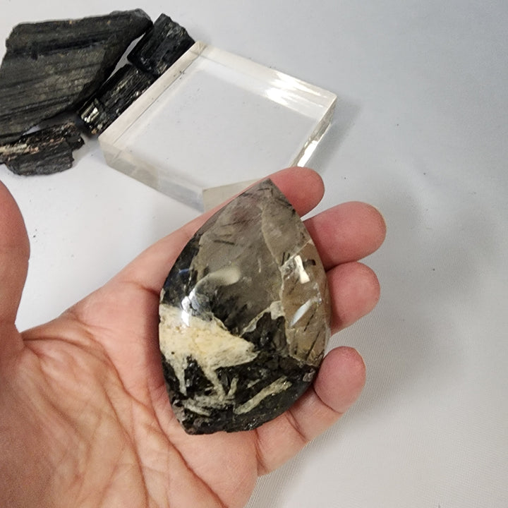 Black Tourmaline in Quartz-CR26034