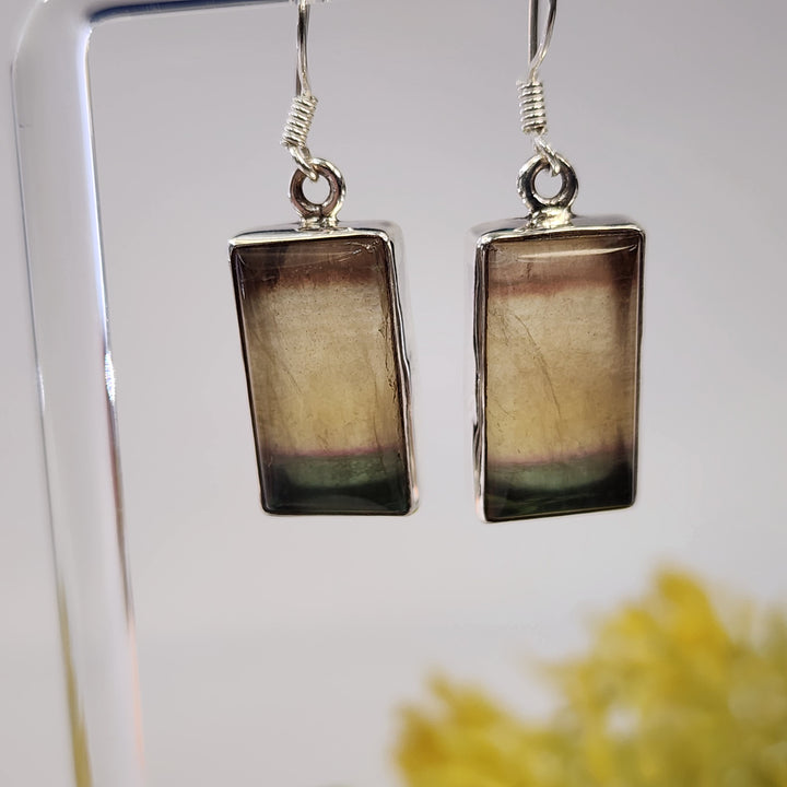 Fluorite Earrings  -JDS26184