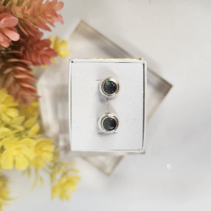 Labradorite Earrings  -JDS26058
