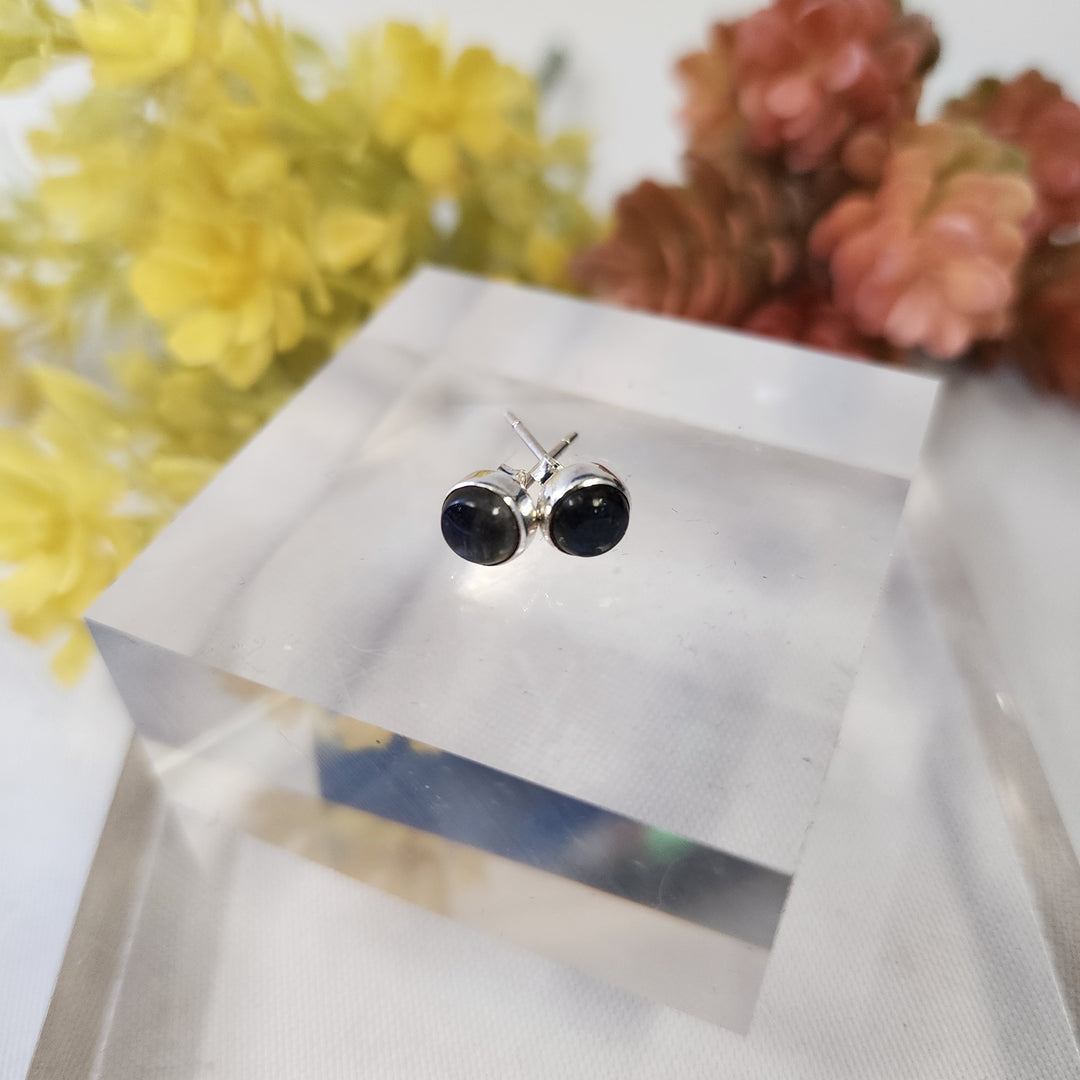 Labradorite Earrings SS  -JDS26014