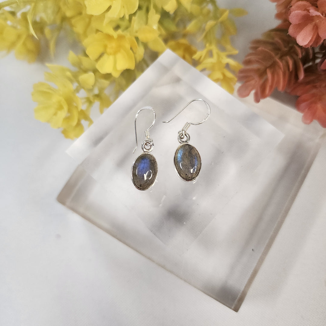 Labradorite Earrings  -JDS26068