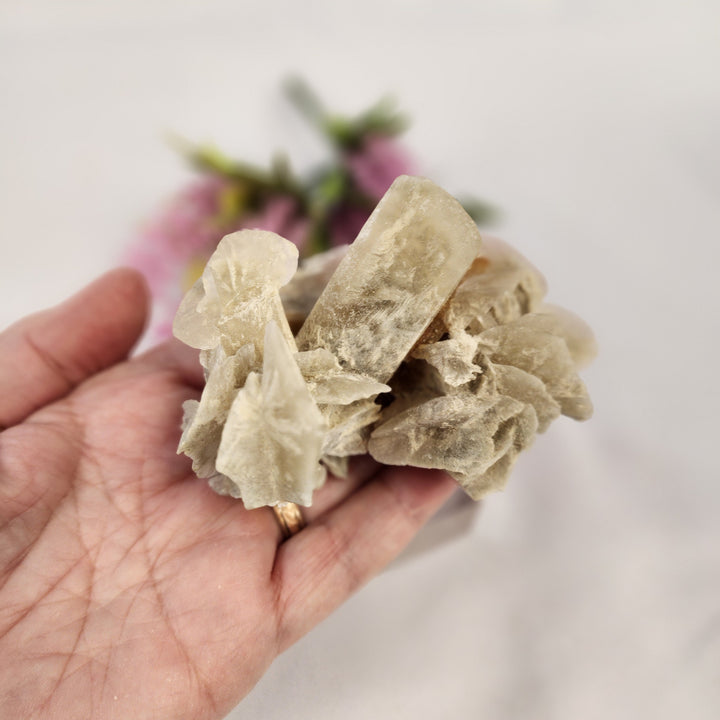 Selenite Cluster-MT26-005
