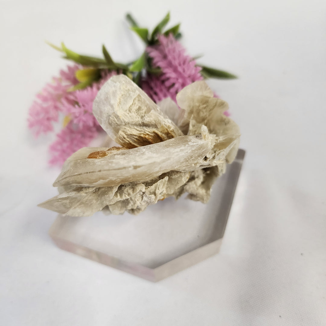 Selenite Cluster-MT26-005