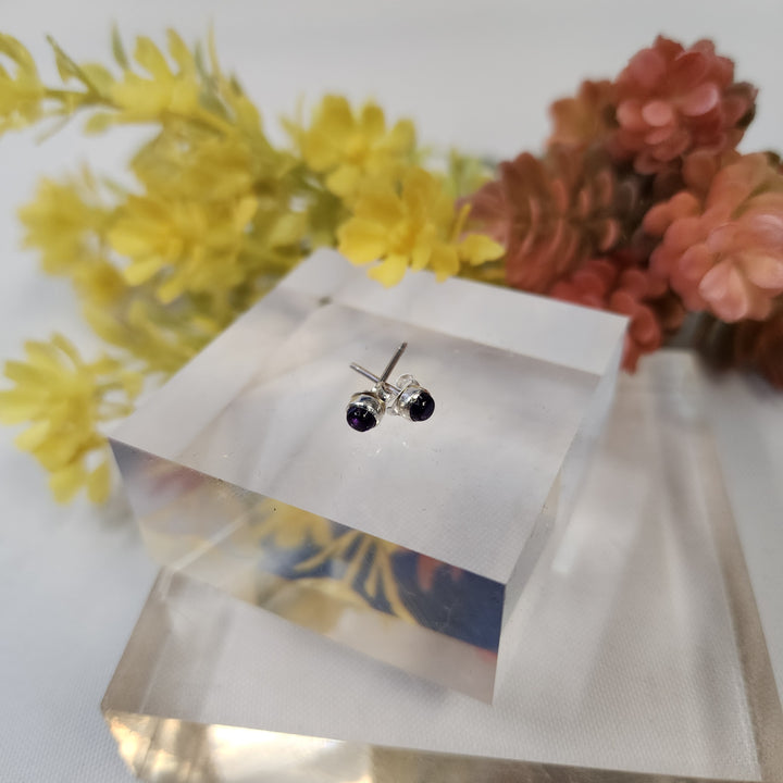 Amethyst Earrings SS  -JDS26009