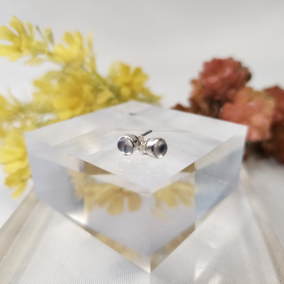Jade Earrings SS  -JDS26017