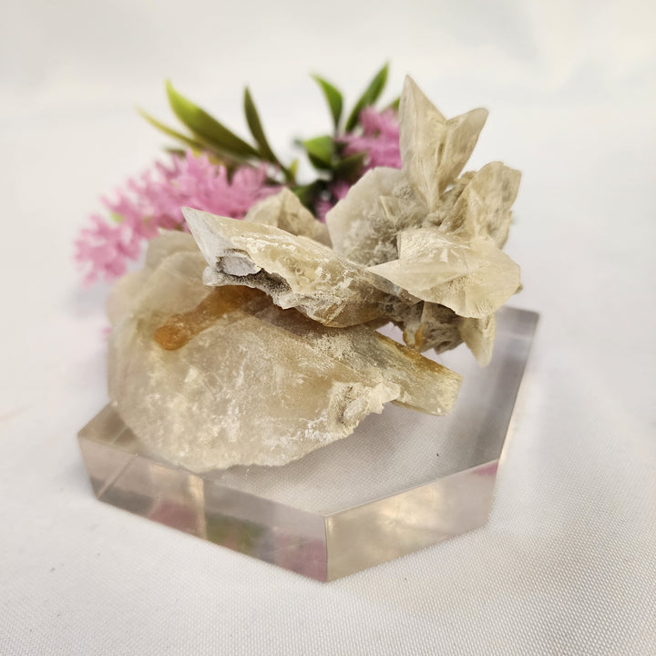 Selenite Cluster-MT26-005