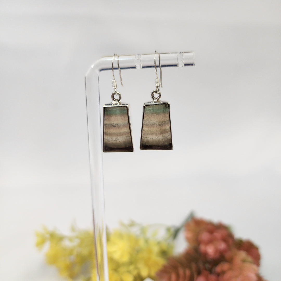 Fluorite Earrings  -JDS26168