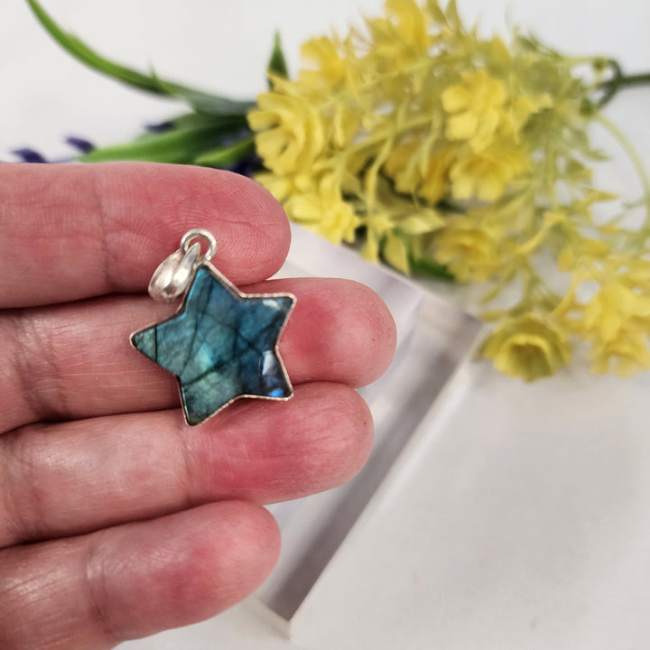 Labradorite  Pendant  -JDS26097