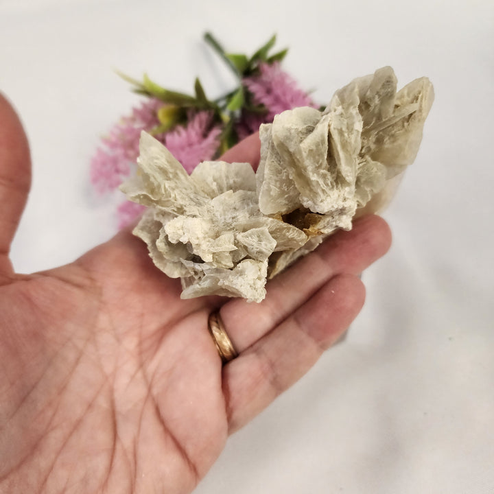 Selenite Cluster-MT26-005