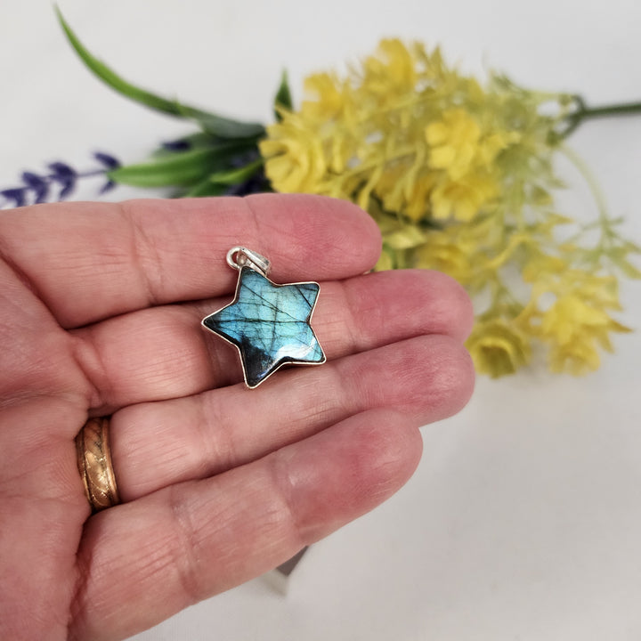 Labradorite  Pendant  -JDS26097