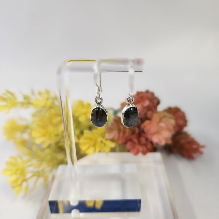 Labradorite Earrings SS  -JDS26015