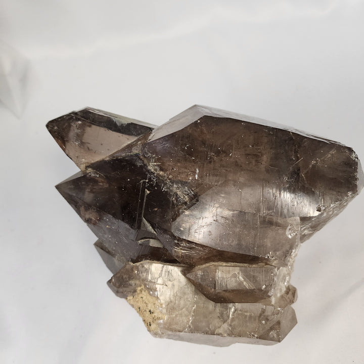 Smoky Elestial Quartz Specimen-MT26-003