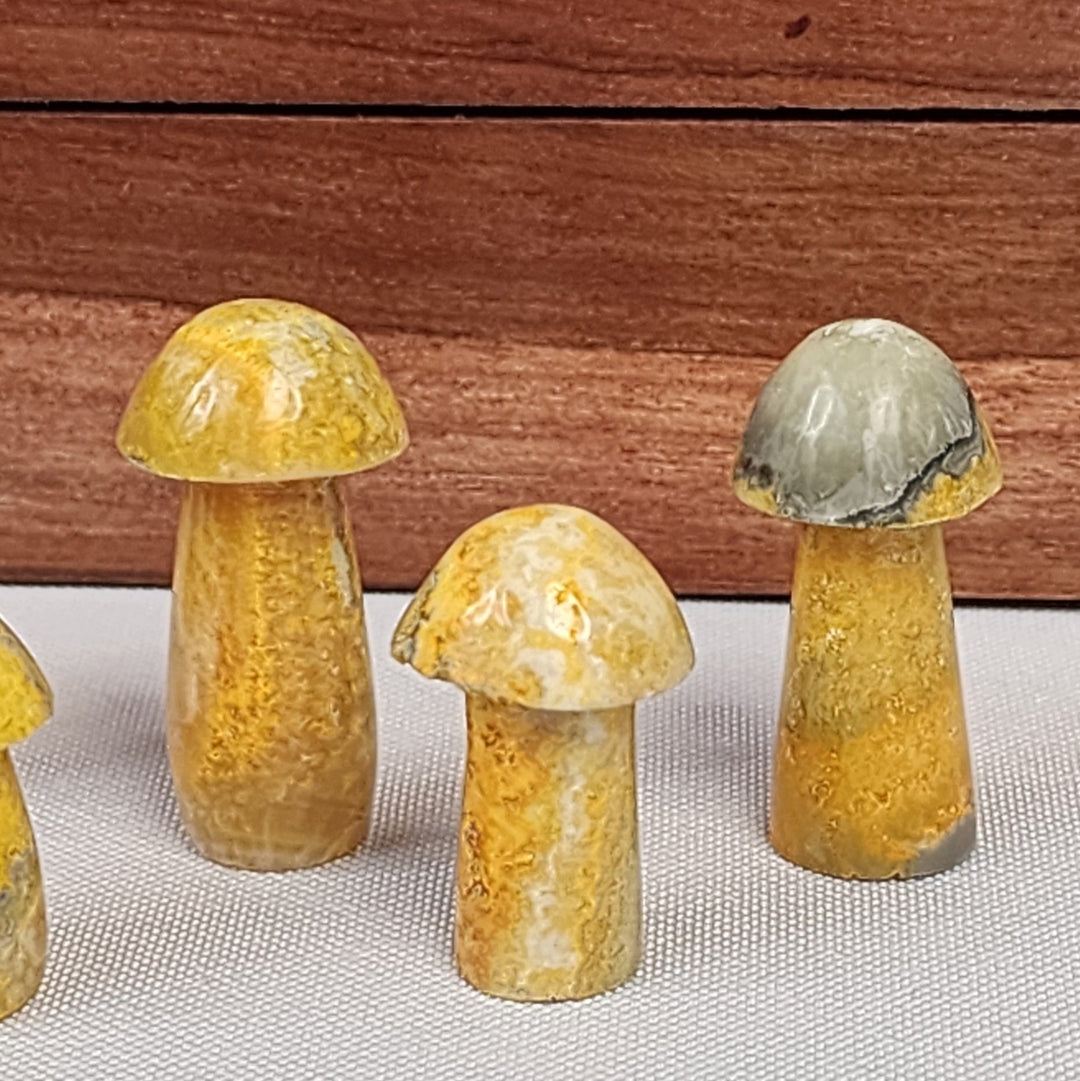 Bumblebee Jasper Mushroom - BB