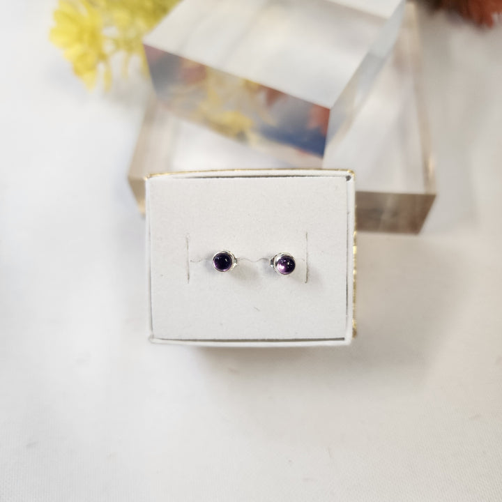 Amethyst Earrings SS  -JDS26009