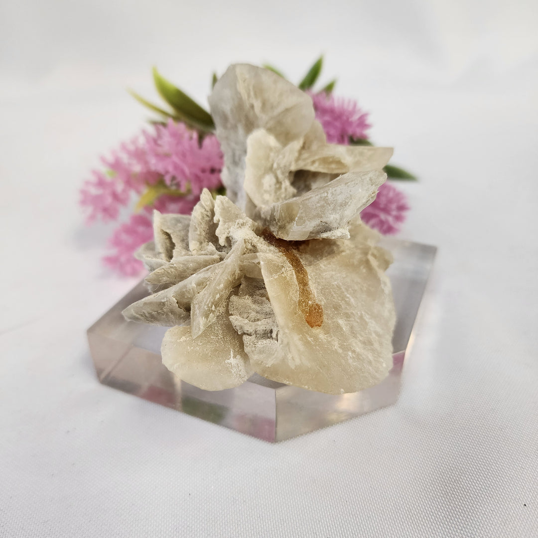 Selenite Cluster-MT26-005