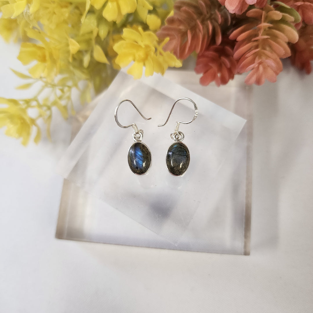 Labradorite Earrings SS  -JDS26015