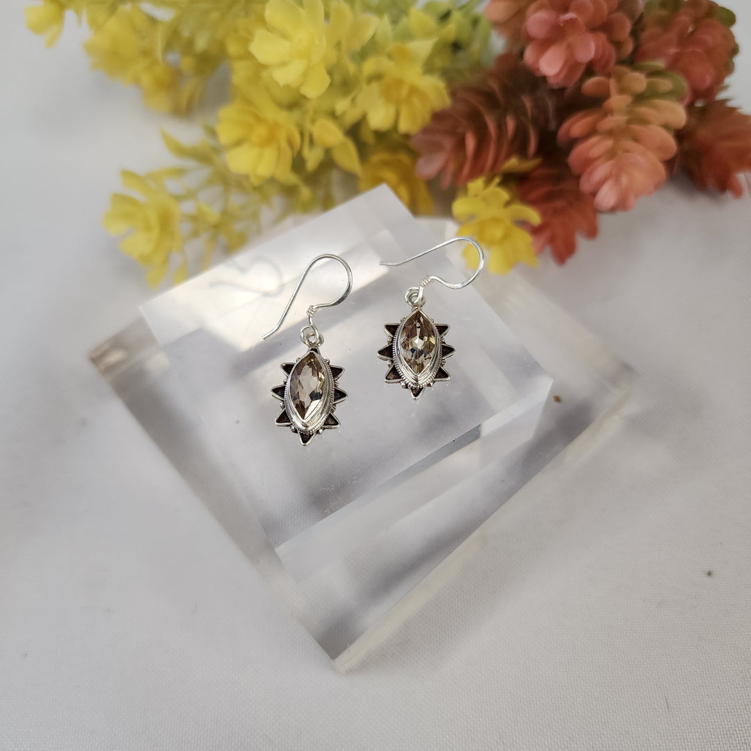 Citrine Earrings  -JDS26162