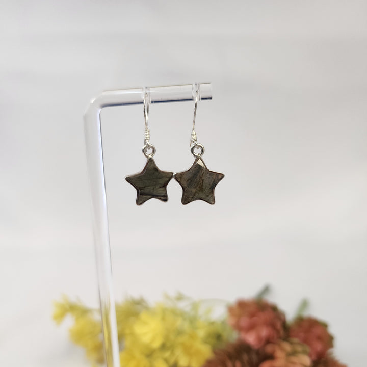 Labradorite Earrings  -JDS26081