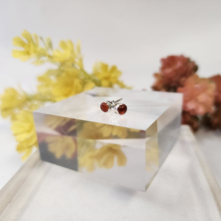 Carnelian Earrings SS  -JDS26010