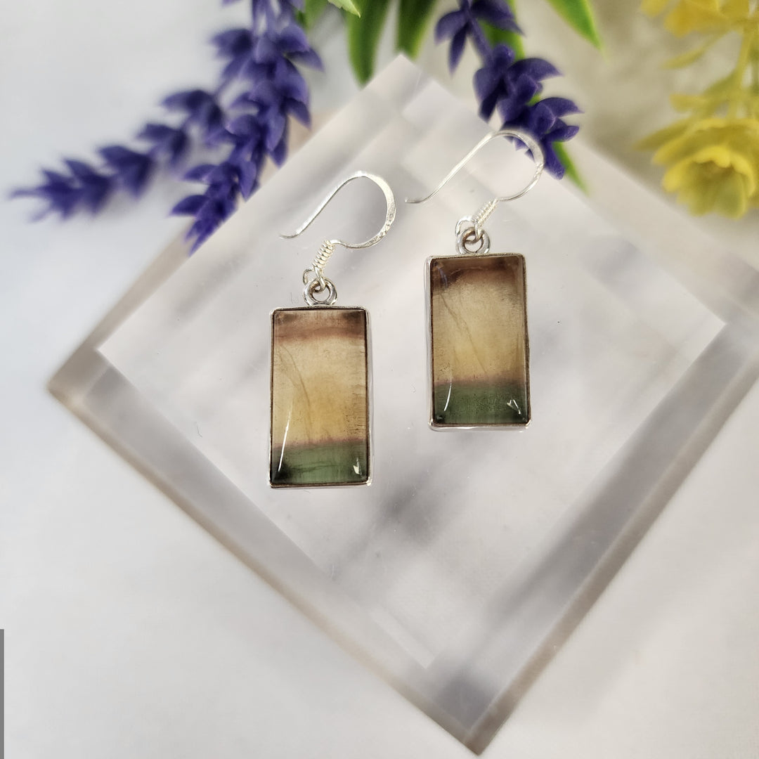 Fluorite Earrings  -JDS26184