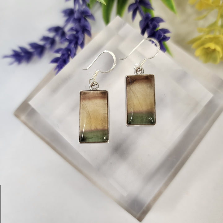 Fluorite Earrings  -JDS26184