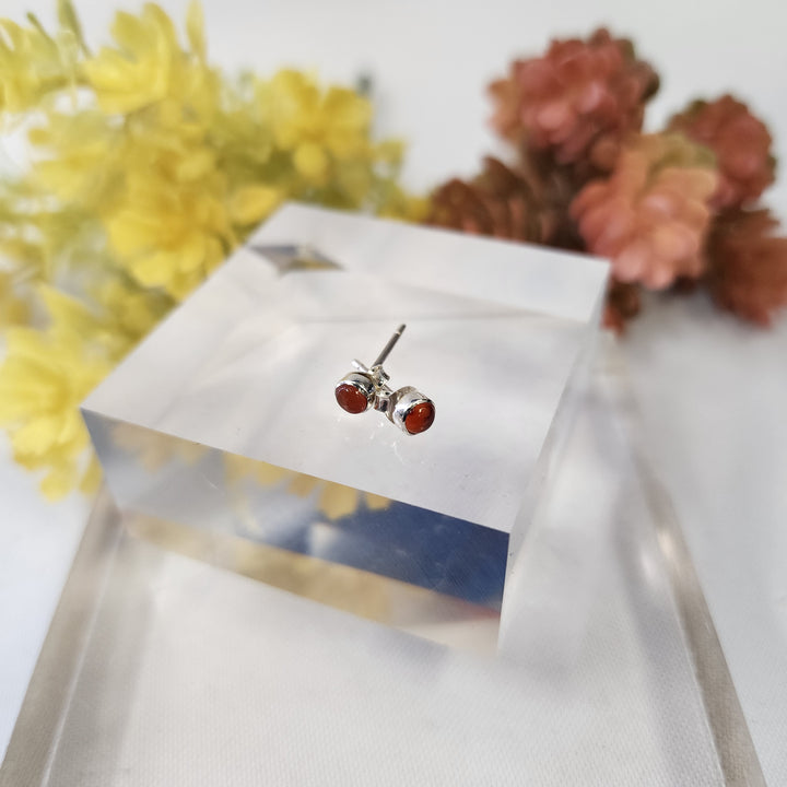 Carnelian Earrings SS  -JDS26010