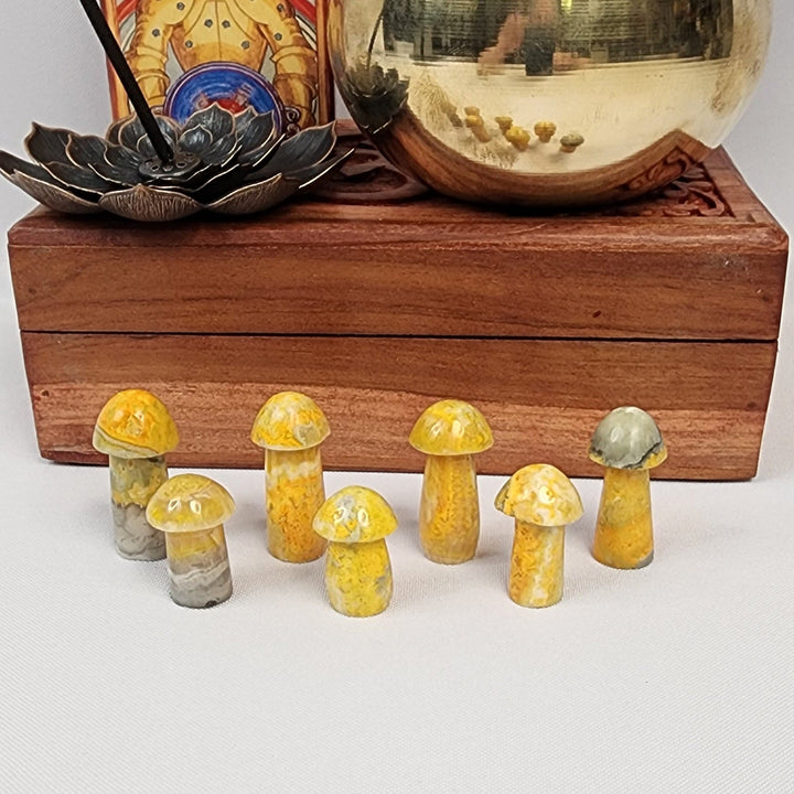 Bumblebee Jasper Mushroom - BB