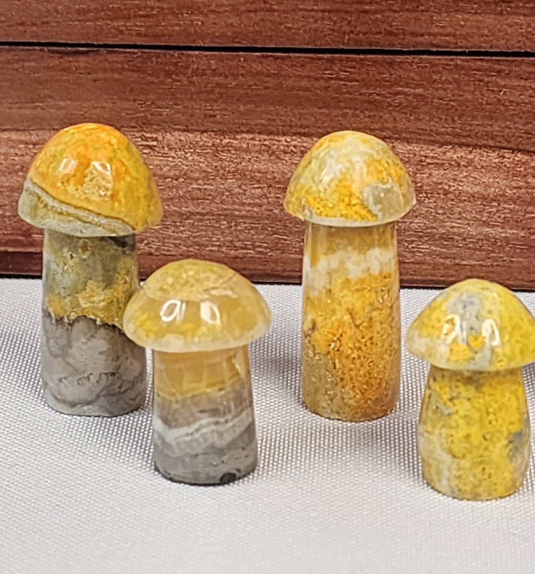 Bumblebee Jasper Mushroom - BB