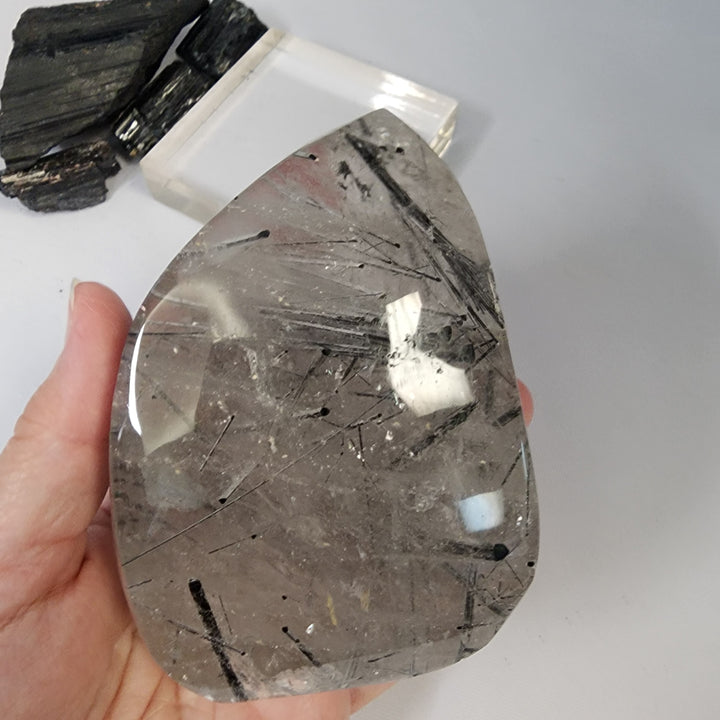 Black Tourmaline in Quartz-CR26043